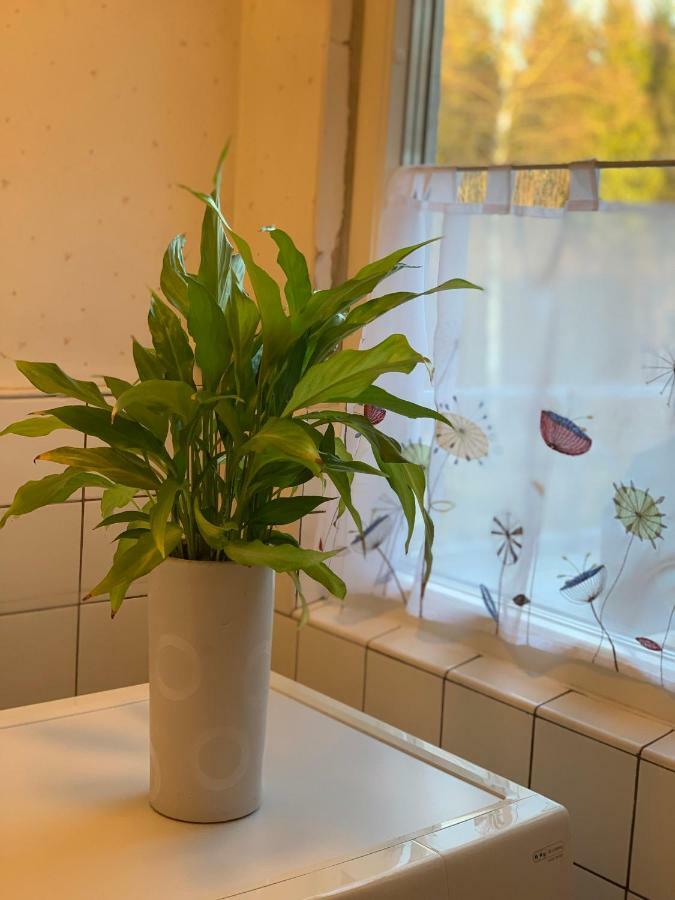 Cozy House In Kosta Center Surrounding With Swedish Nature Eksteriør bilde