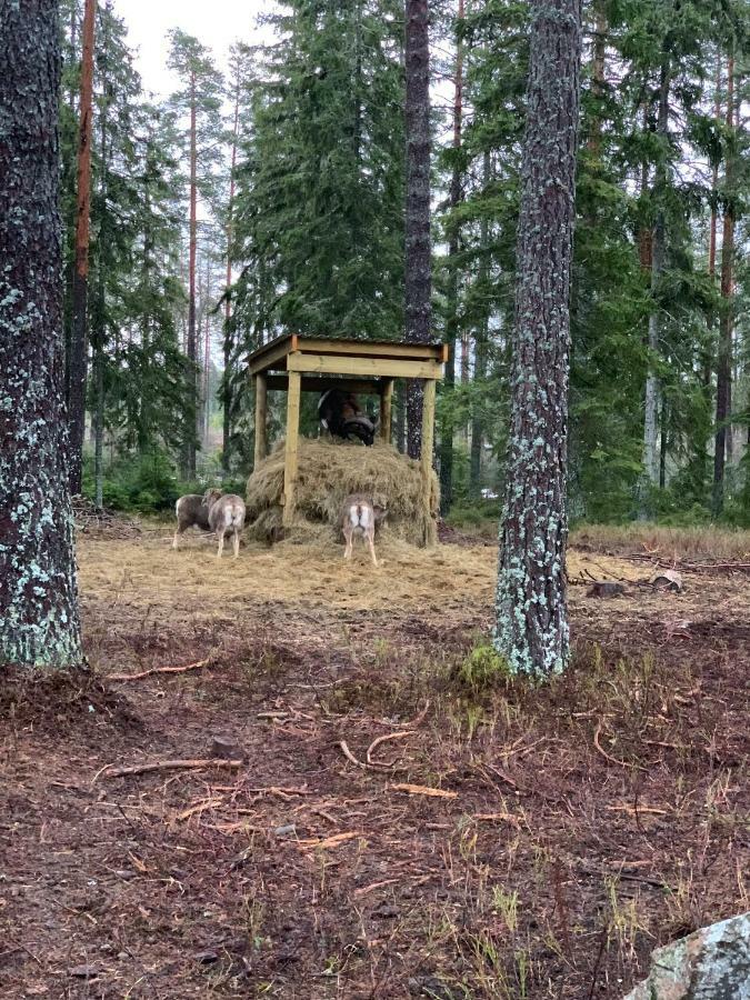 Cozy House In Kosta Center Surrounding With Swedish Nature Eksteriør bilde